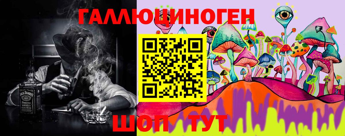 Галлюциногенные грибы Psilocybine cubensis Симферополь